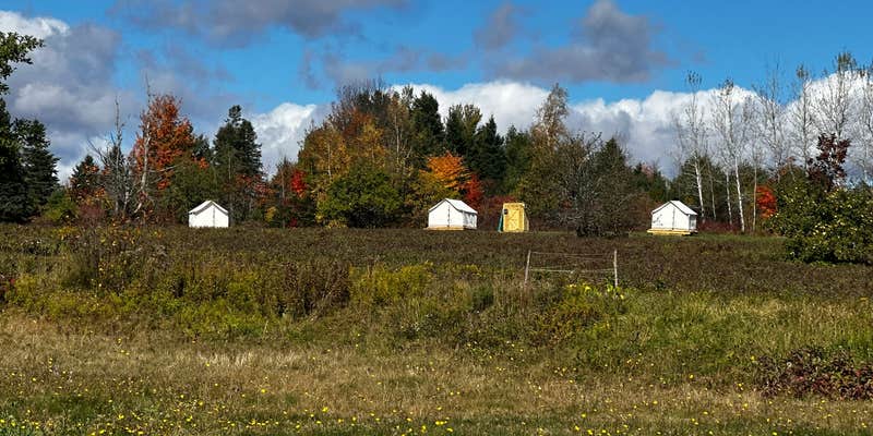Camper submitted image from Bear Ridge Camping