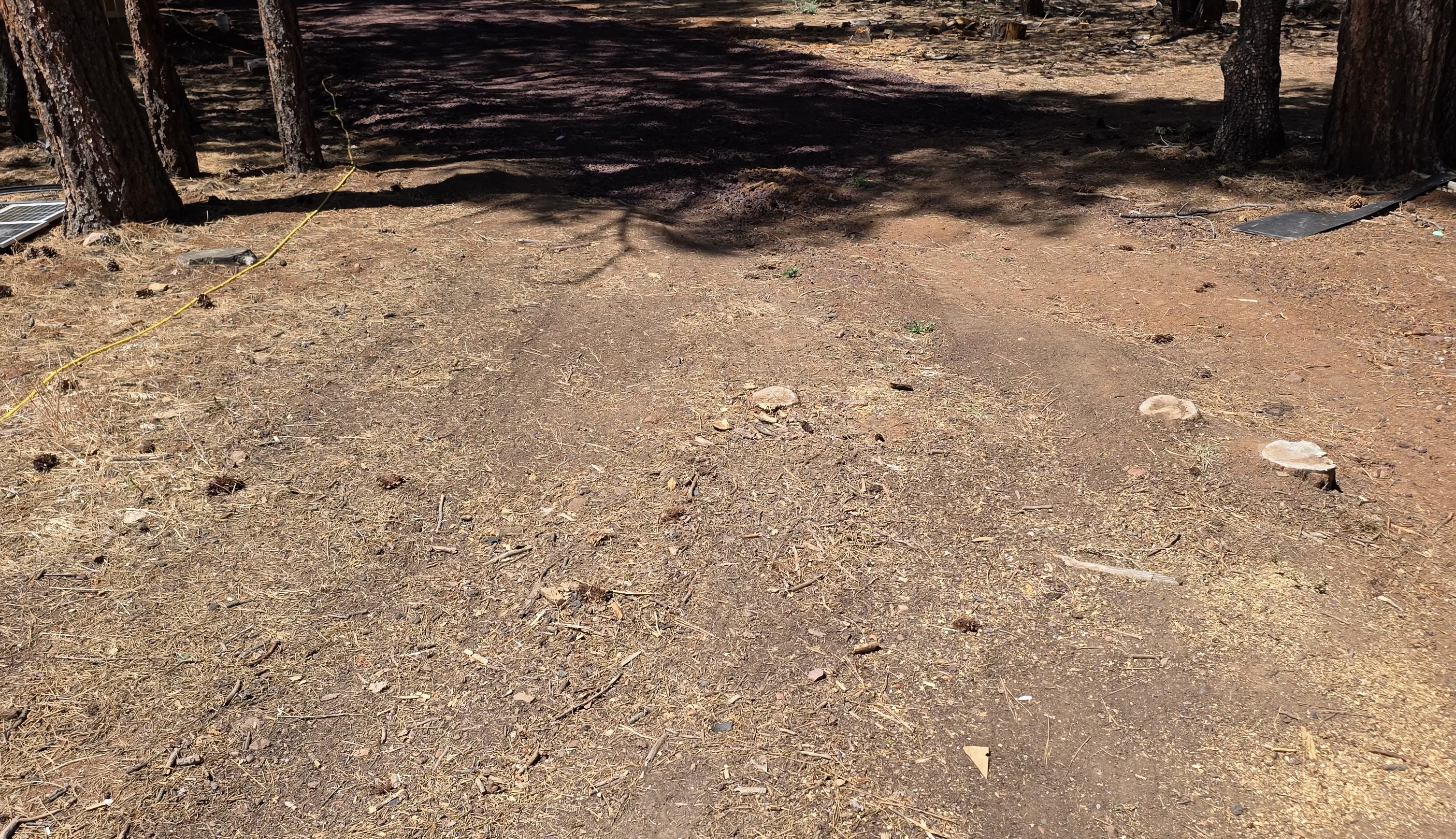 Camping near Show Low Lake Campground: Lakeside Lane, Lakeside, Arizona