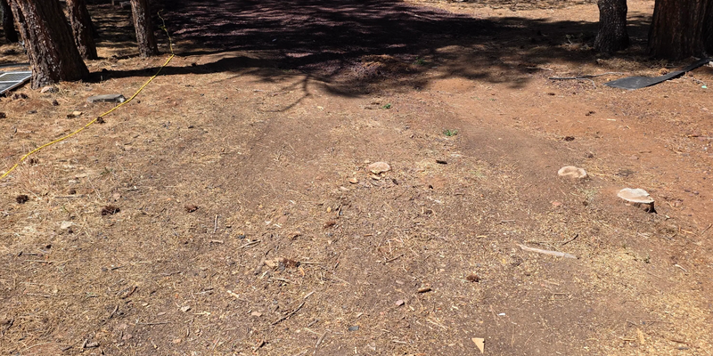 Camper submitted image from Lakeside Lane