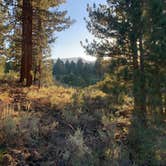 Review photo of Owens River Road Dispersed by Beverley G., October 5, 2026
