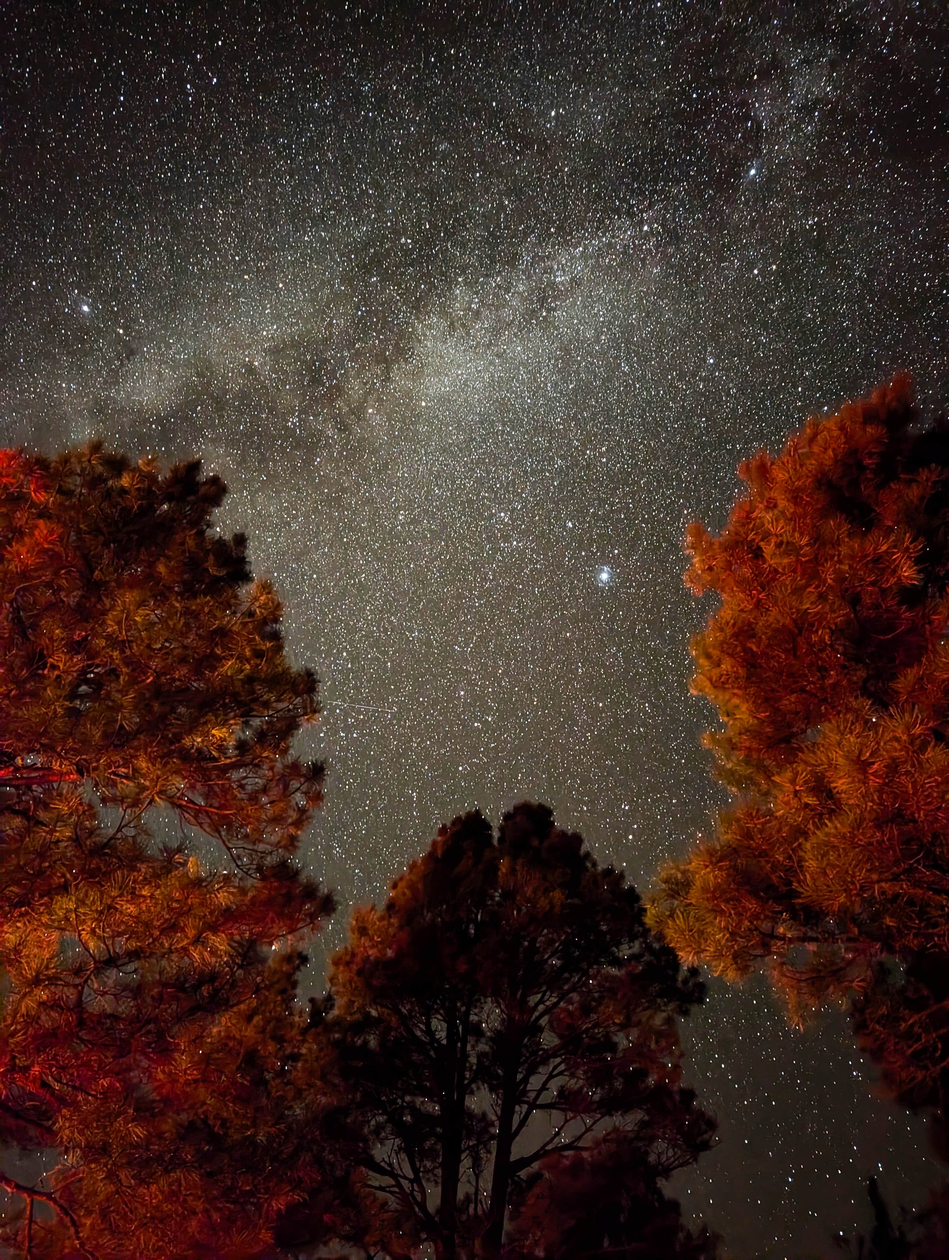 Camper-submitted photo at Apache National Forest Luna Lake Campground near Reserve, NM