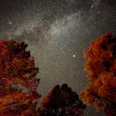 Review photo of Apache National Forest Luna Lake Campground by Jorge G., October 8, 2026