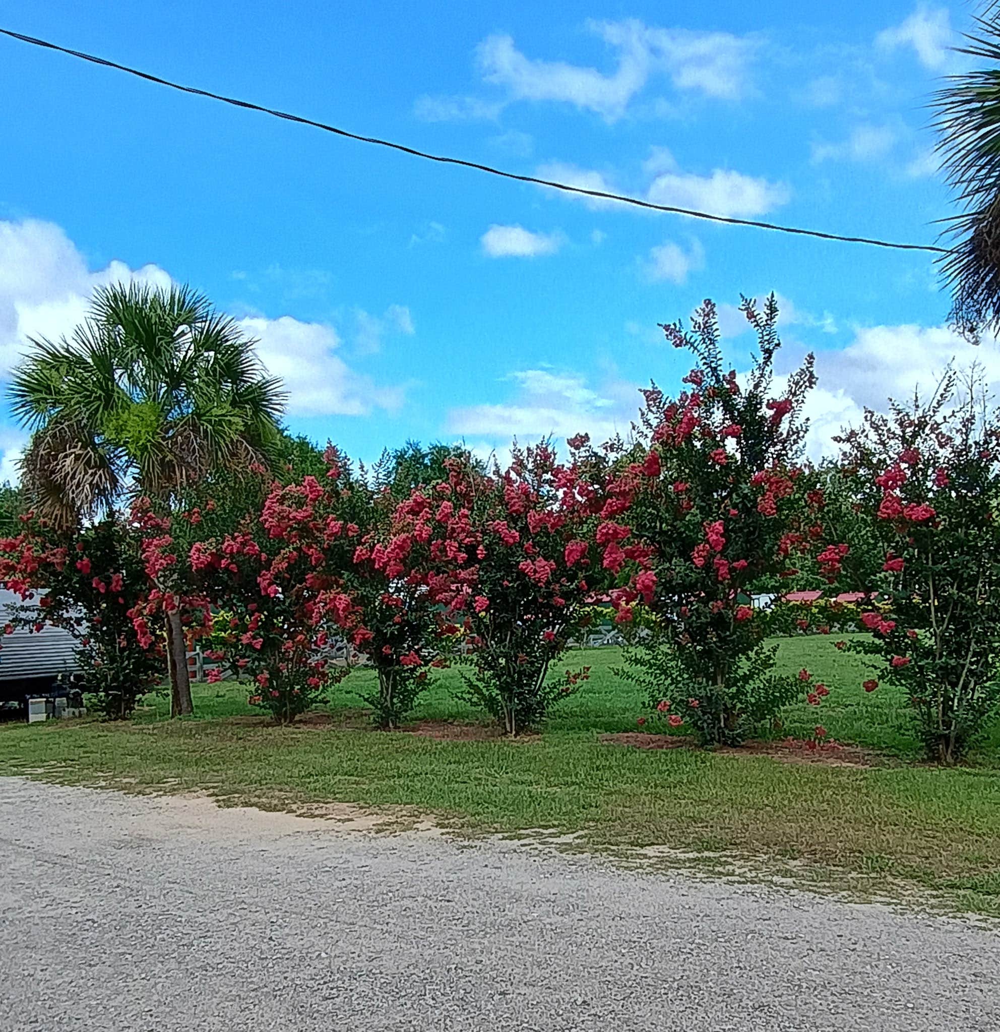 Camper-submitted photo at Stop n Fish RV Park near Elloree, SC