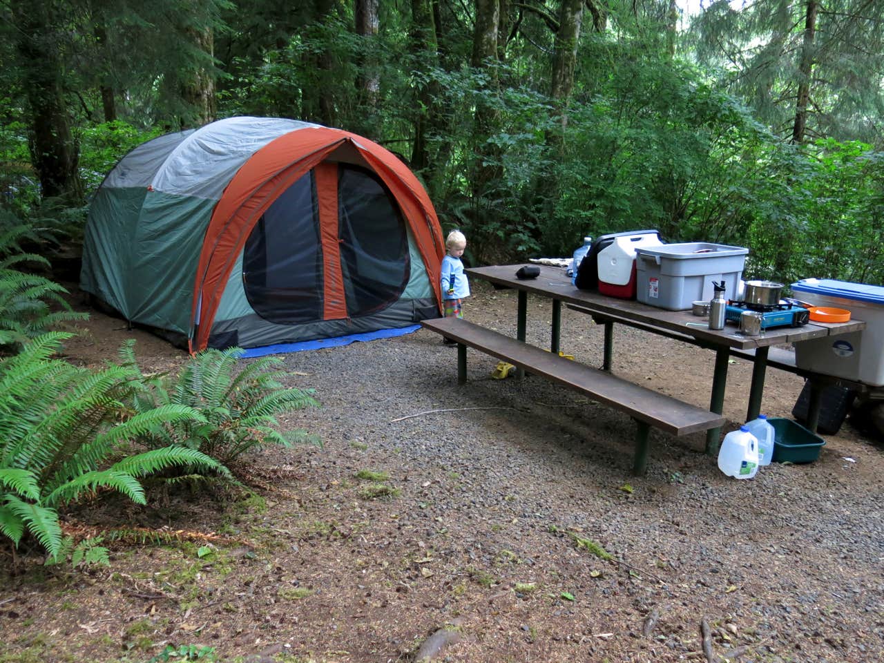 Spencer C.'s photo at Tillamook State Forest Nehalem Falls Campground near Tillamook State Forest