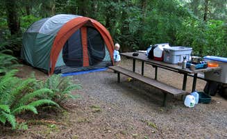 Spencer C.'s photo at Tillamook State Forest Nehalem Falls Campground near Manzanita, OR