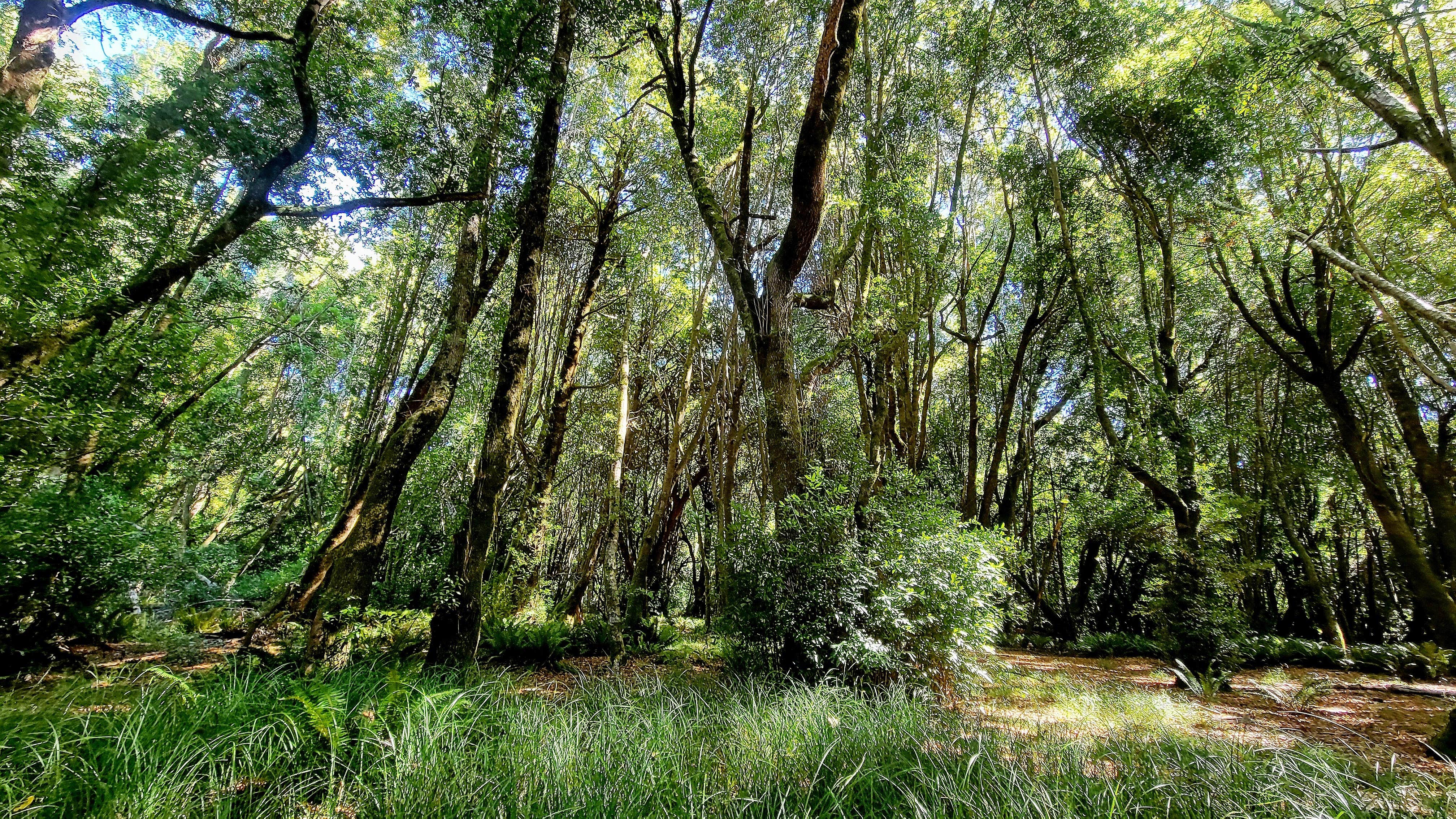 Camper-submitted photo at Quosatana Campground near Agness, OR
