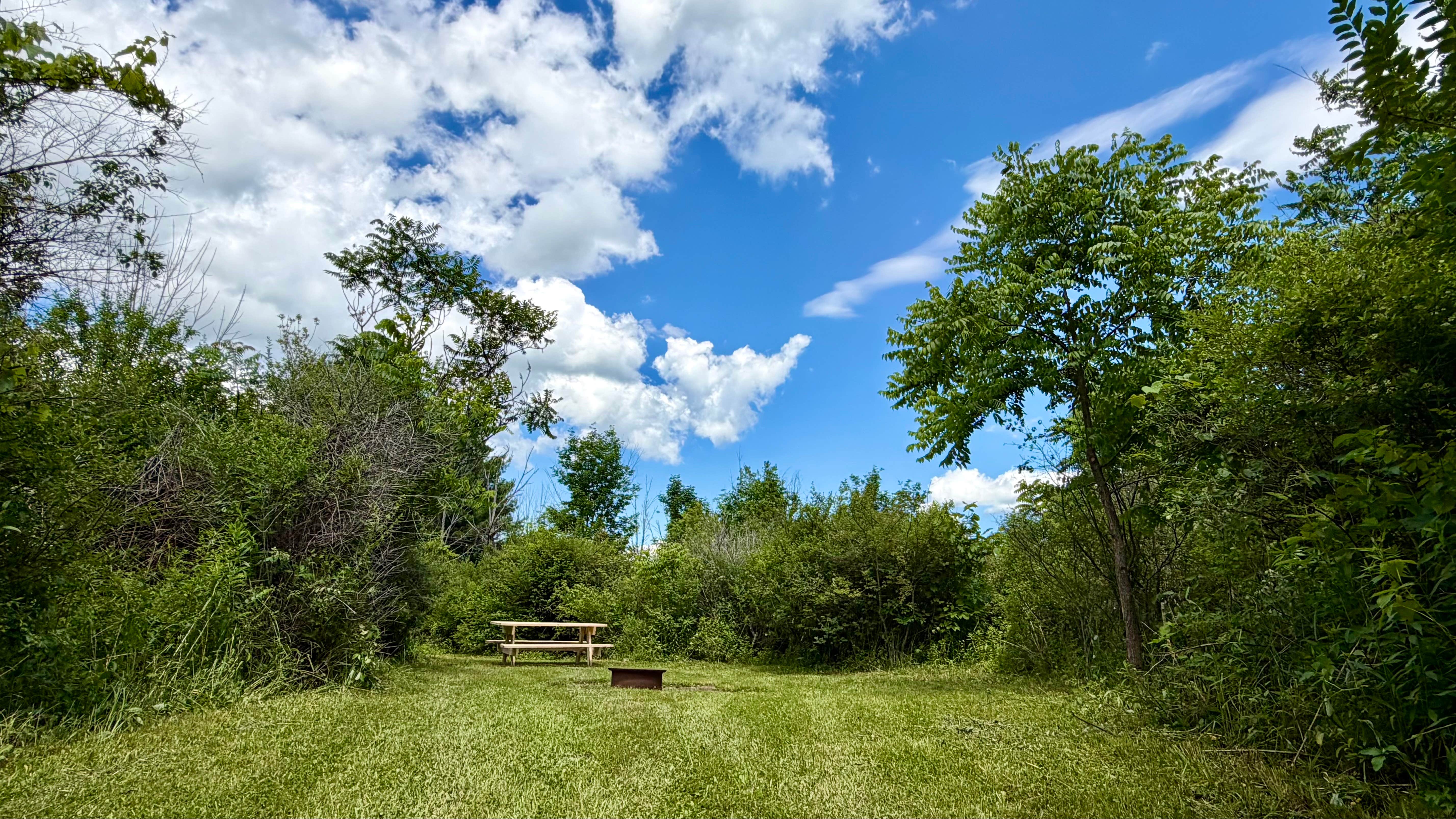 Camping near Potomac Group Campground: Finger Lakes Camp out, Hector, New York