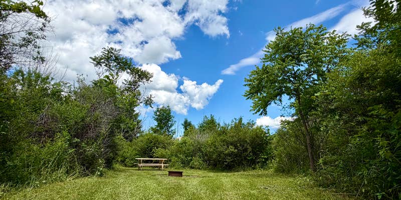 Camper submitted image from Finger Lakes Camp out