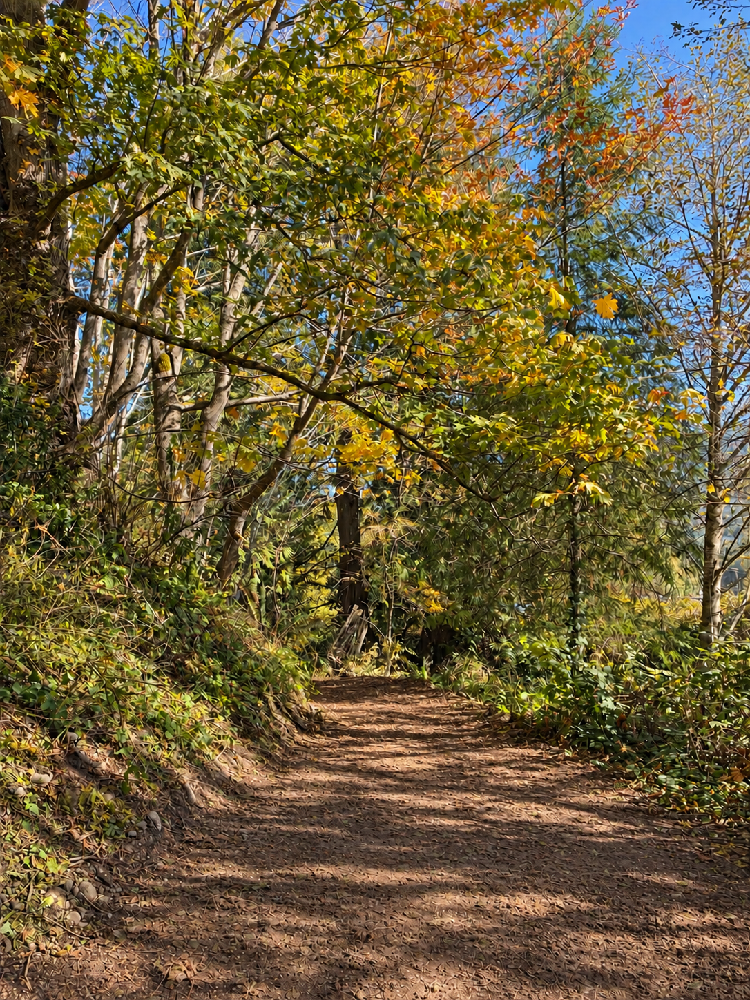 Camp Clark