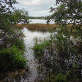 Review photo of Edisto Beach State Park Campground by paul Z., October 12, 2026