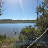Review photo of Edisto Beach State Park Campground by paul Z., October 12, 2026