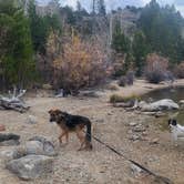 Review photo of Fremont Lake by Michele H., October 12, 2026