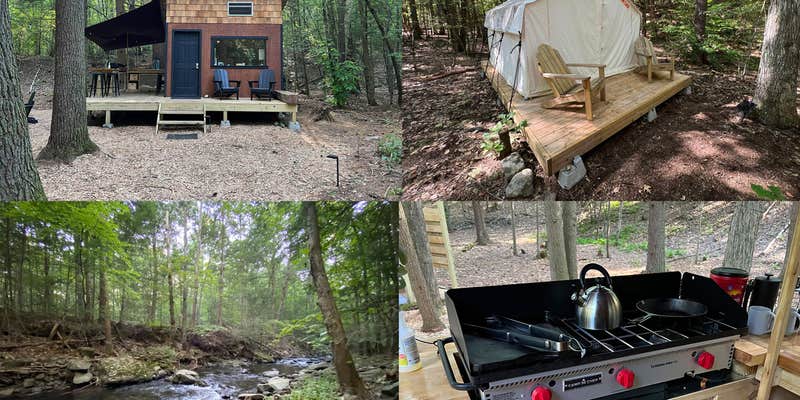 Camper submitted image from Tree Day Weekend LLC