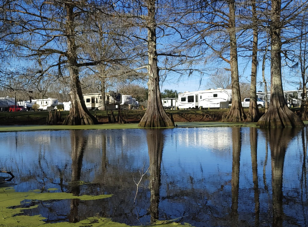 Camper-submitted photo at Bayou Wilderness RV Park near New Iberia, LA