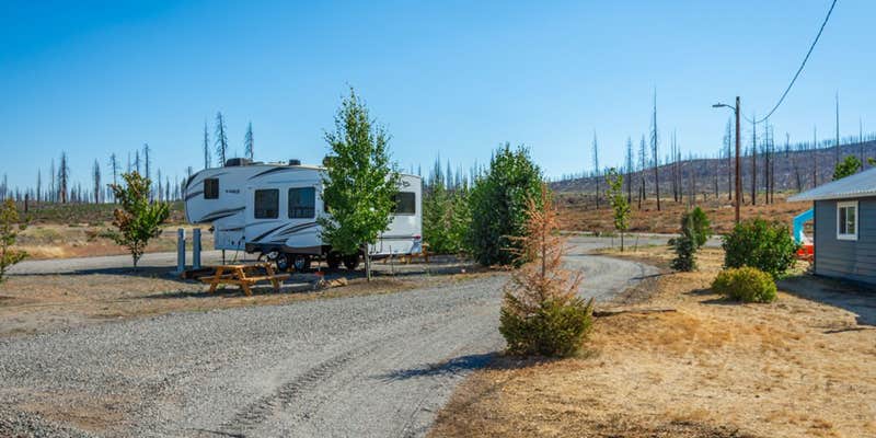 Camper submitted image from Cedar Lodge