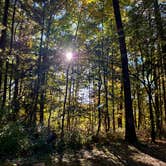 Review photo of Letchworth State Park Campground by Renee R., October 15, 2026