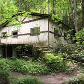 Review photo of Elkmont Campground — Great Smoky Mountains National Park by Amy P., September 30, 2016