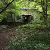Review photo of Elkmont Campground — Great Smoky Mountains National Park by Amy P., September 30, 2016