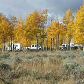 Review photo of Range Study Area - FS Road #217 by Cortney M., September 30, 2016