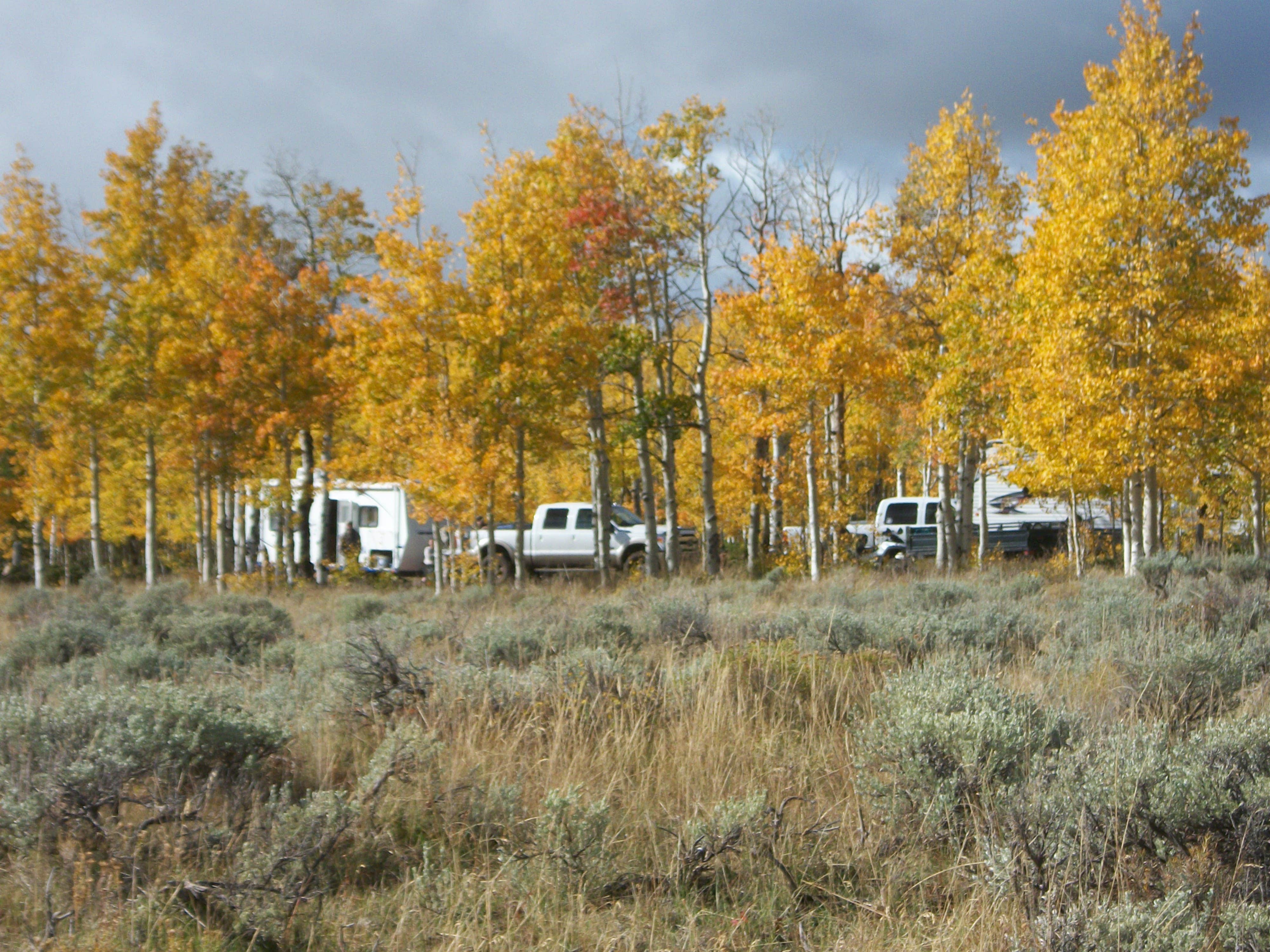 Camper submitted image from Range Study Area - FS Road #217 - 2