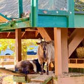 Review photo of Lake Raystown Resort and Lodge by Matt S., October 19, 2026
