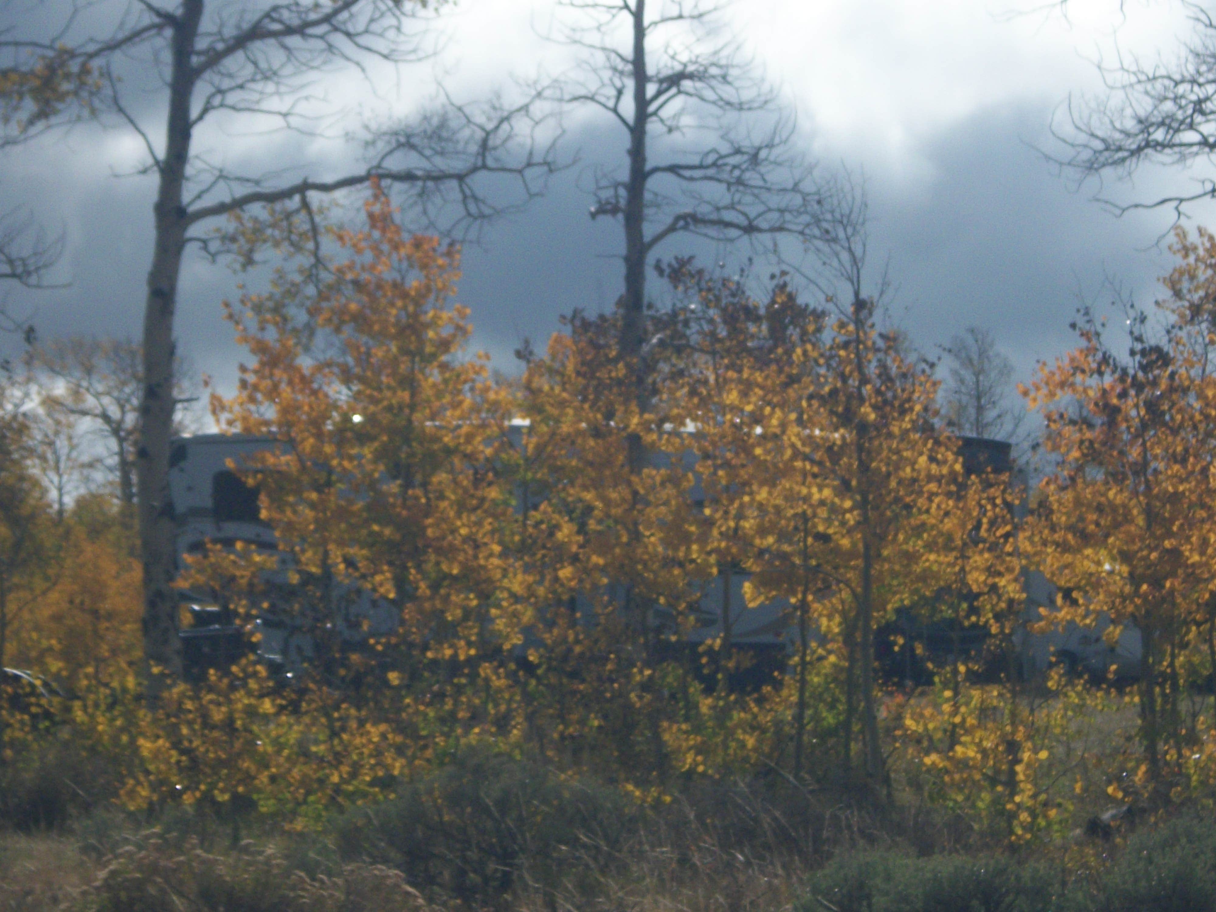 Camper-submitted photo at Range Study Area - FS Road #217 near Flaming Gorge, UT