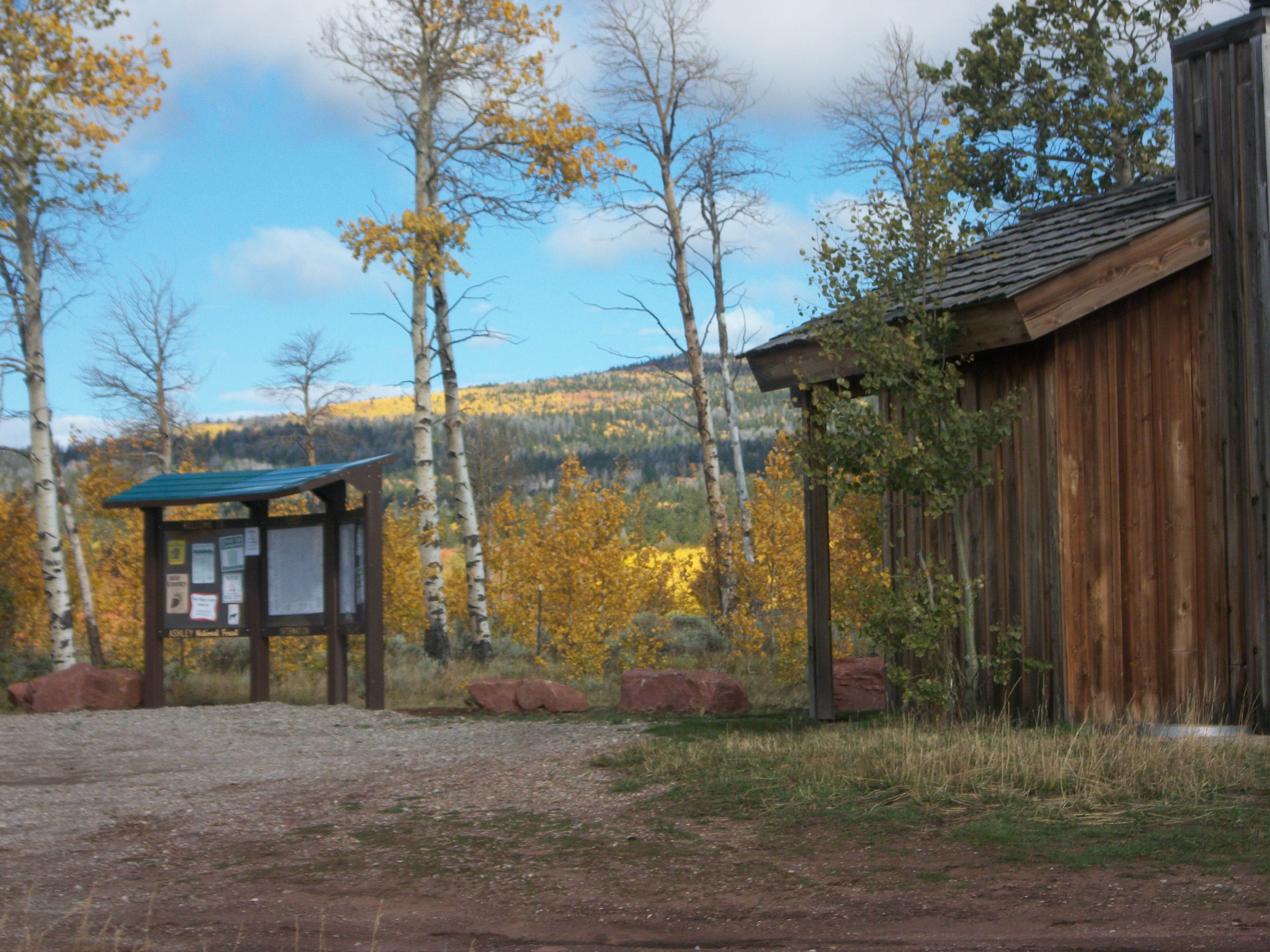 Camper submitted image from Range Study Area - FS Road #217 - 5