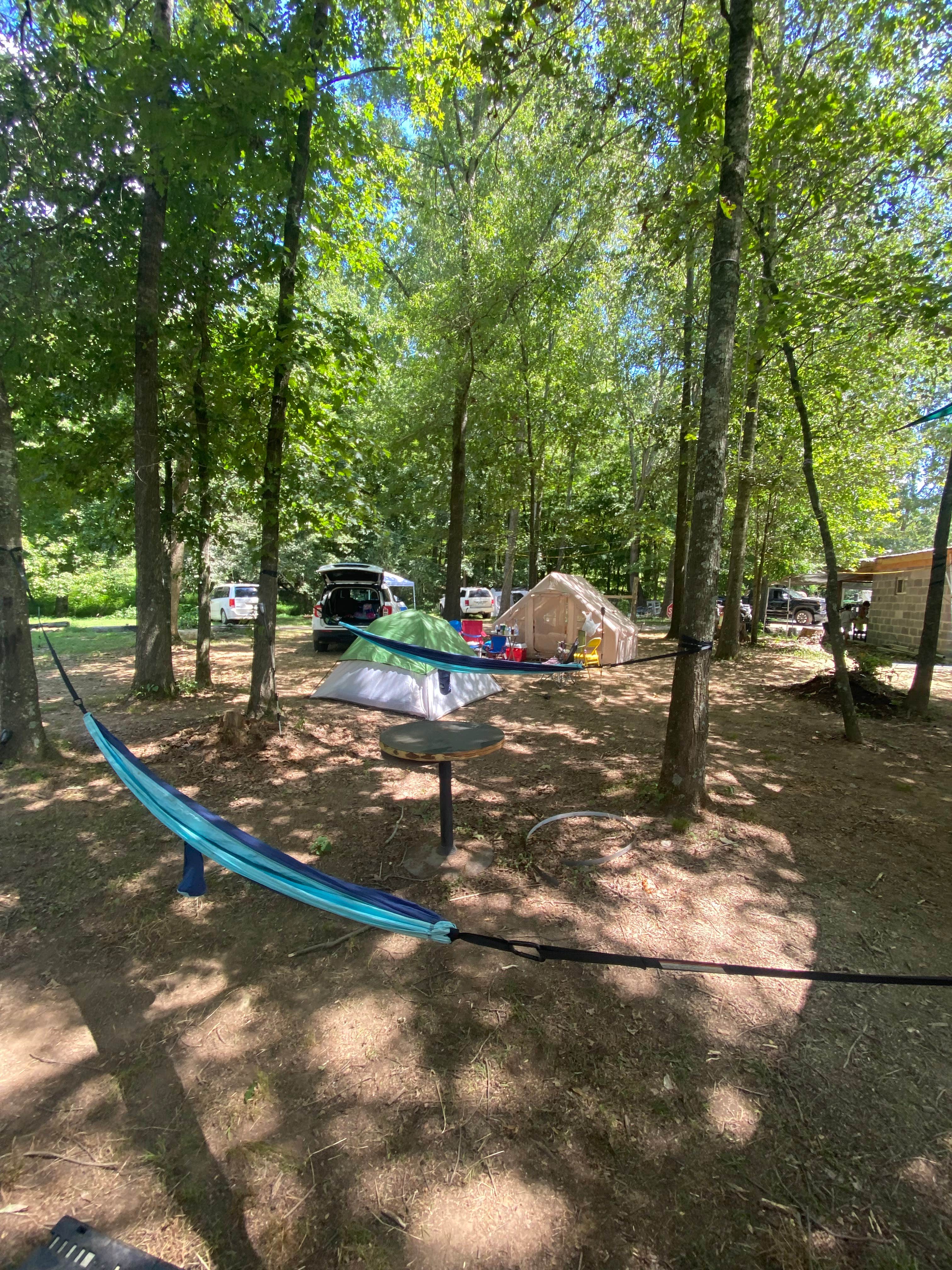 Roger C.'s photo at Culture Valley Farm near Madison, AL