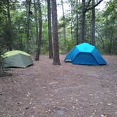 Review photo of Kiptopeke State Park Campground by Angela C., October 22, 2026