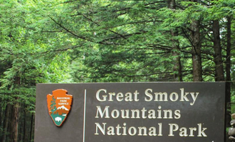 Camping near Smoky Bear Campground: Cosby Campground — Great Smoky Mountains National Park, Cosby, Tennessee