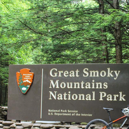 Public Campgrounds: Cosby Campground — Great Smoky Mountains National Park