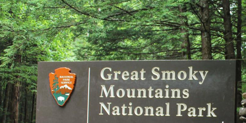 Camper submitted image from Cosby Campground — Great Smoky Mountains National Park