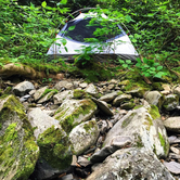 Review photo of Cosby Campground — Great Smoky Mountains National Park by Cierra A., September 30, 2016