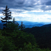 Review photo of Cosby Campground — Great Smoky Mountains National Park by Cierra A., September 30, 2016