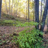 Review photo of Alhambra Road, site 11 Va. by Eric K., October 30, 2026