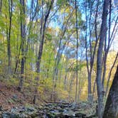 Review photo of Alhambra Road, site 11 Va. by Eric K., October 30, 2026