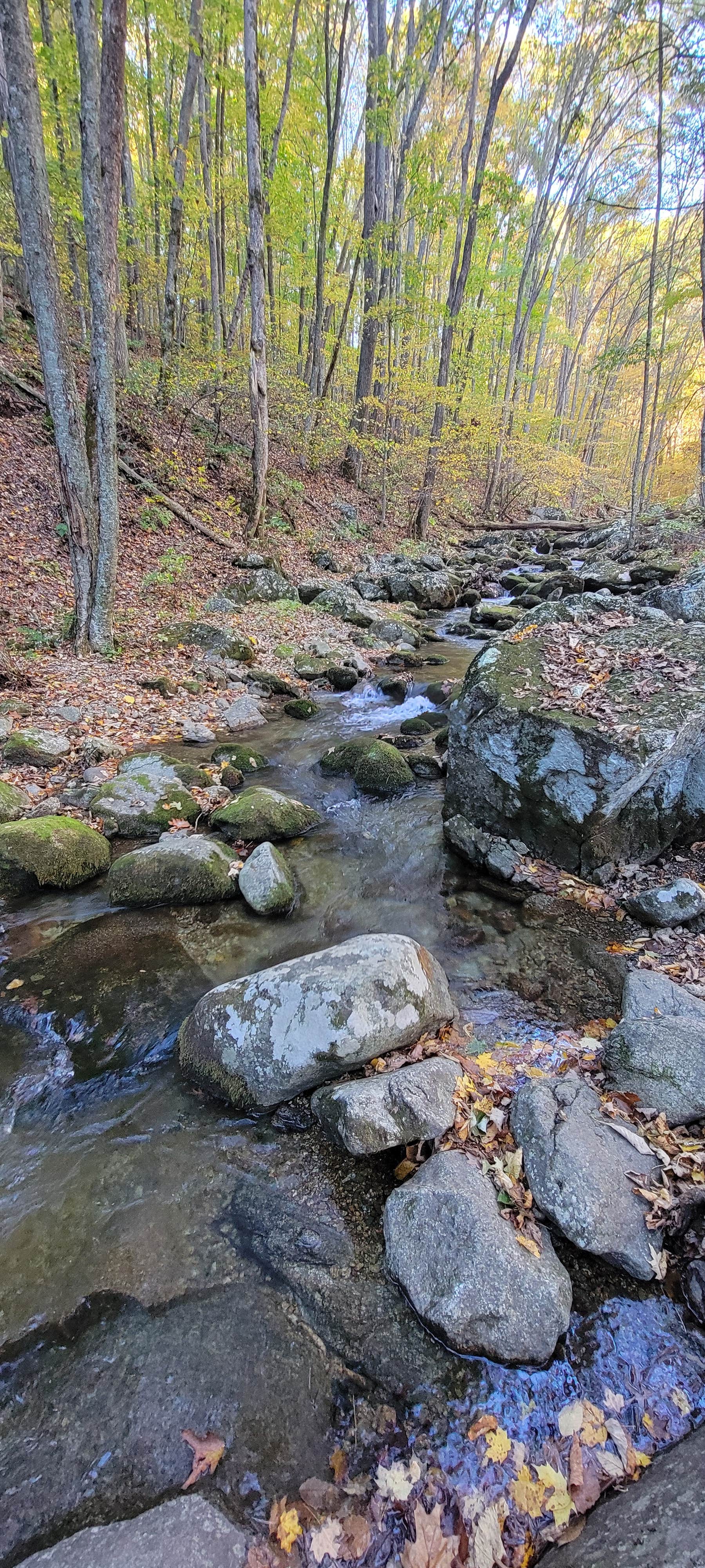 Nature