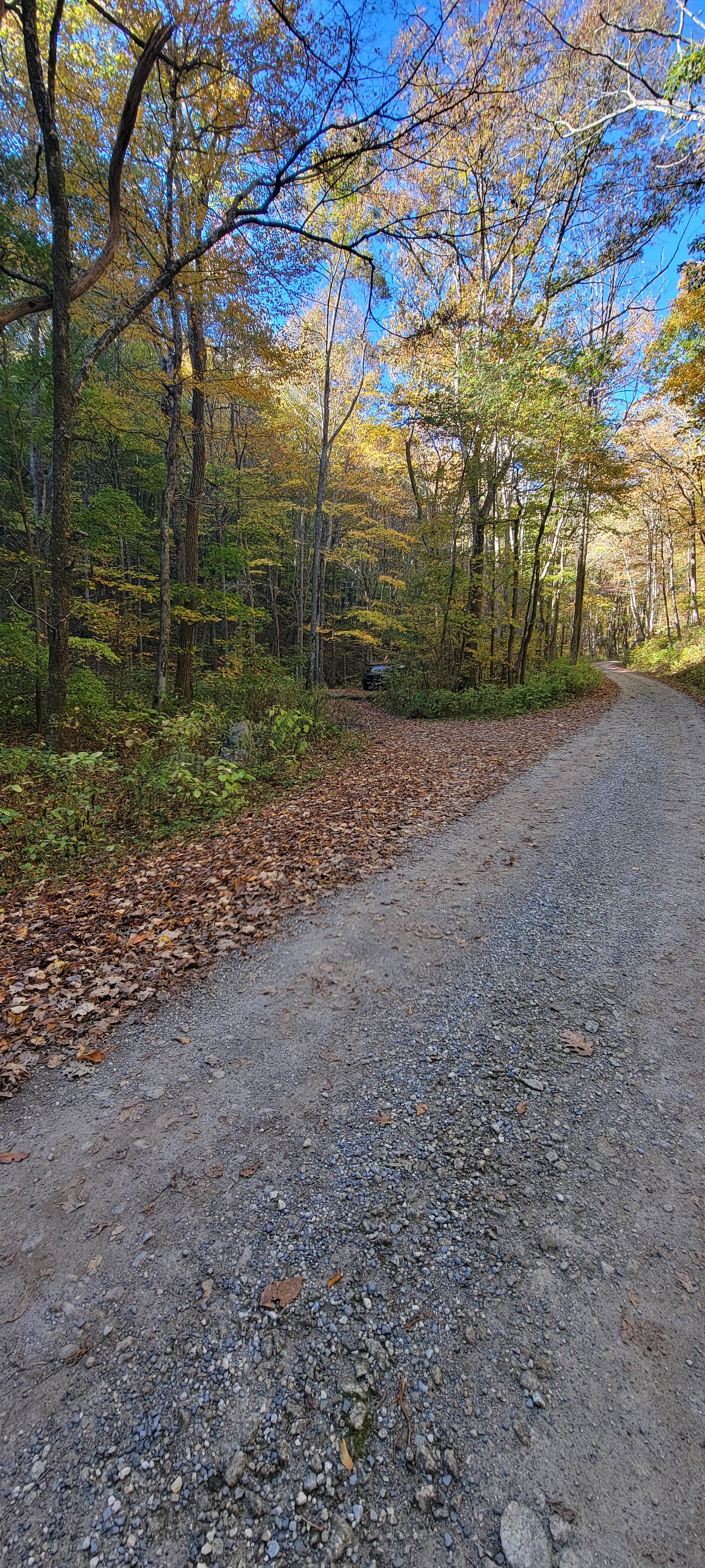 Camper-submitted photo at Alhambra Road, site 11 Va. near George Washington & Jefferson National Forests