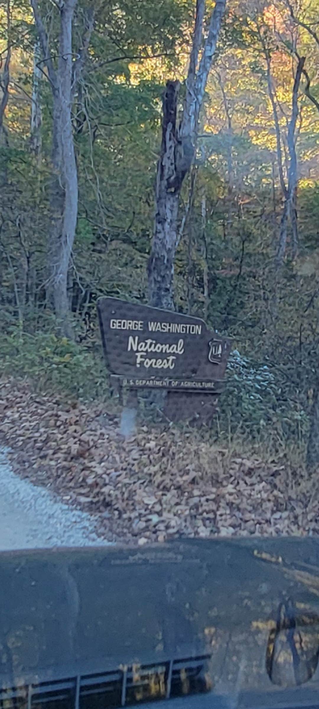 Camper-submitted photo at Alhambra Road, site 11 Va. near George Washington & Jefferson National Forests