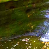Review photo of Starved Rock Campground — Starved Rock State Park by Cj C., September 30, 2016