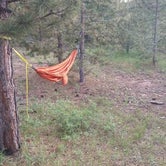 Review photo of Windy Park Camping Area by Amanda B., September 30, 2016
