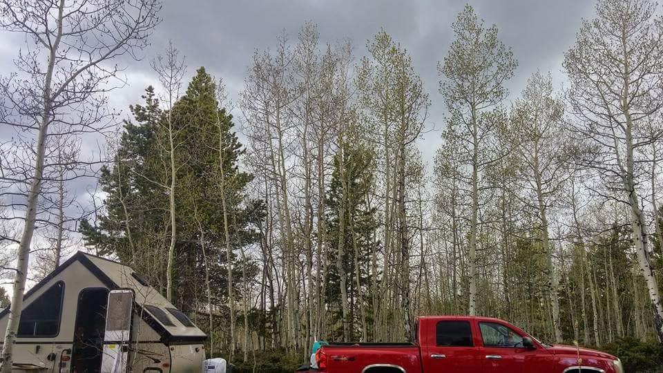 Amanda B.'s photo of rv camping at Windy Park Camping Area near Dutch John, UT