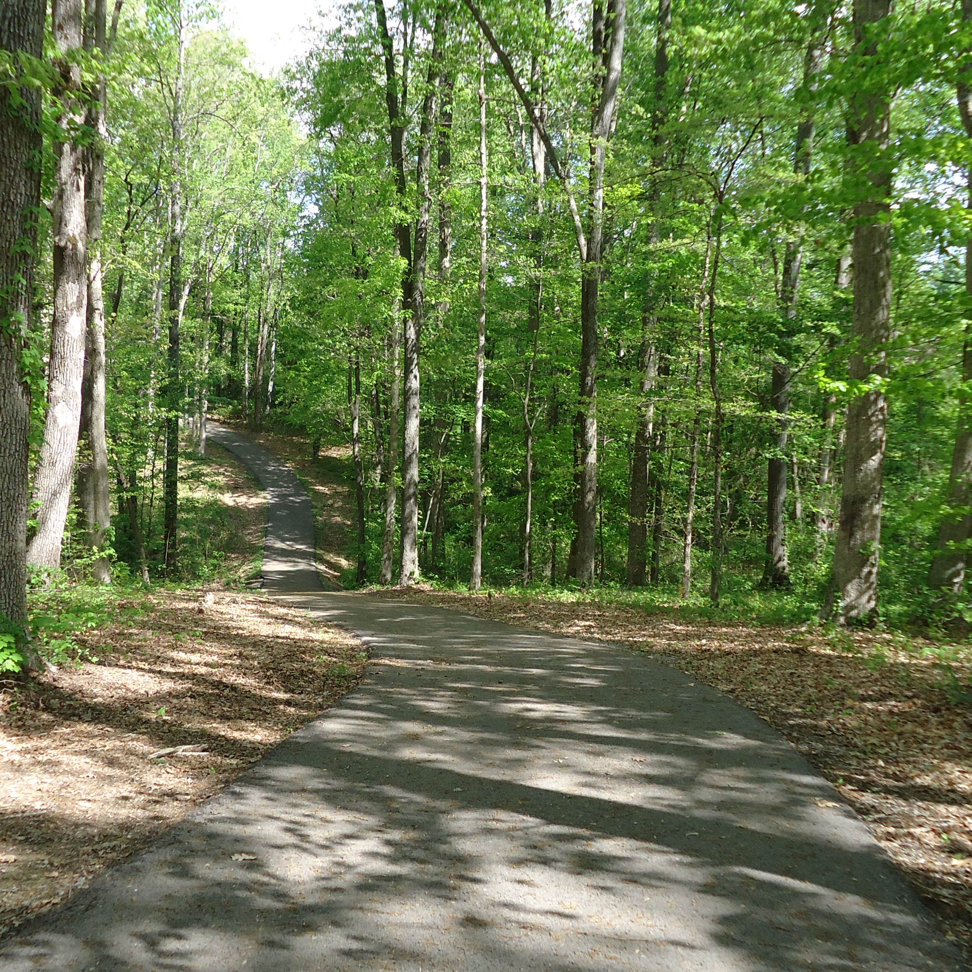 Cayuga Lake State Park Camping The Dyrt