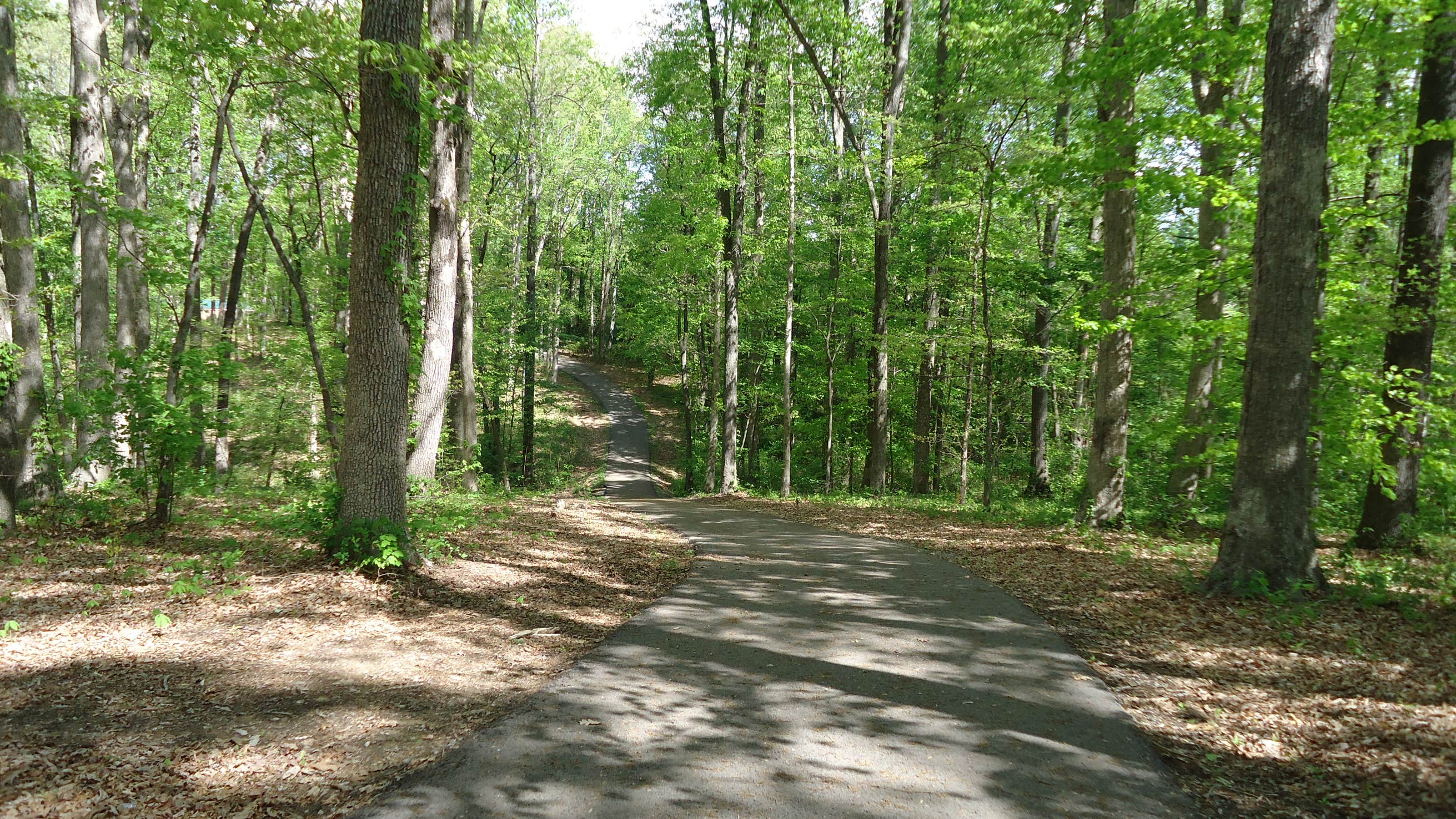 Cayuga Lake/East Camp The Dyrt