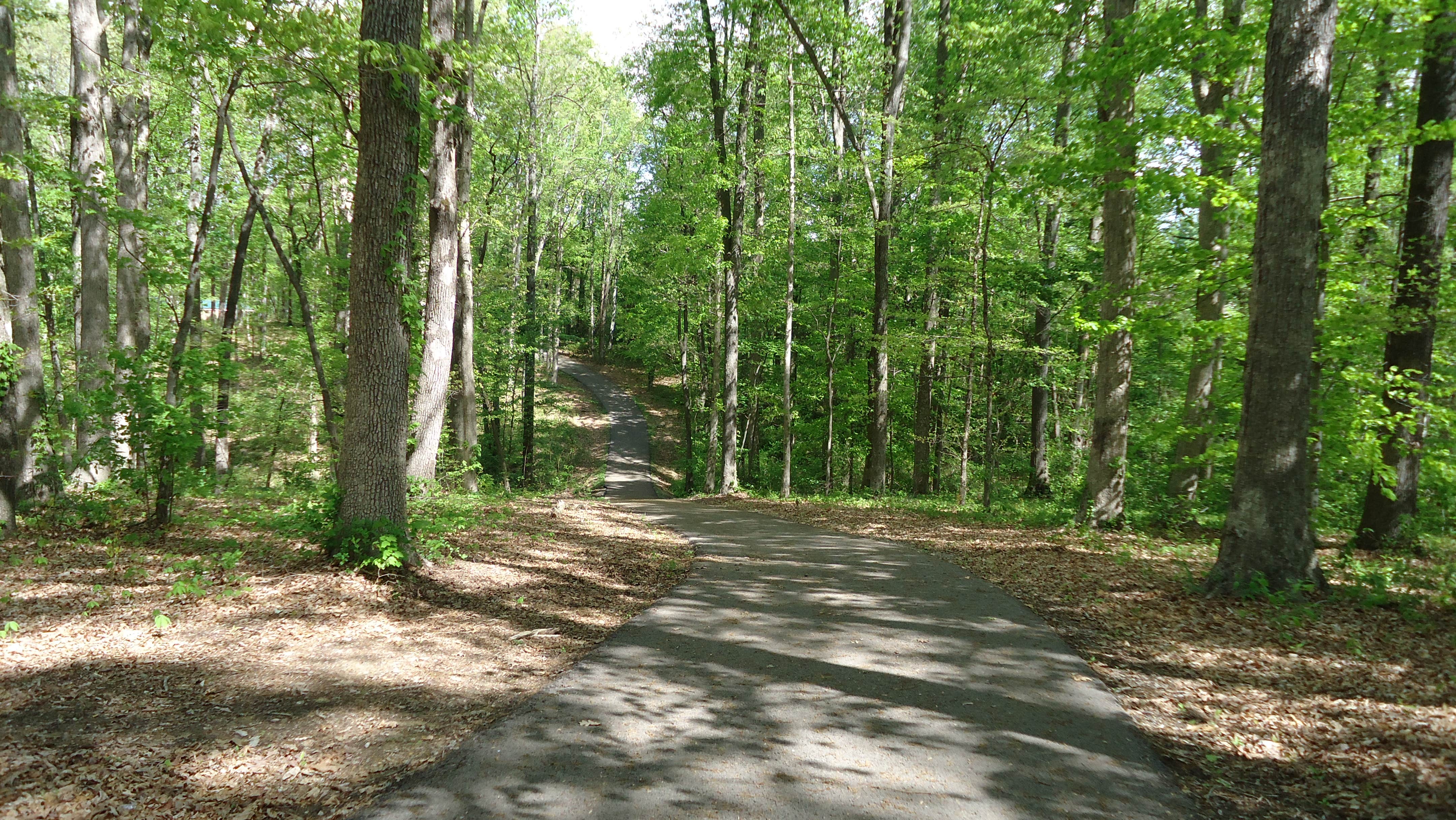 Camper submitted image from Cayuga Lake State Park Campground - 3