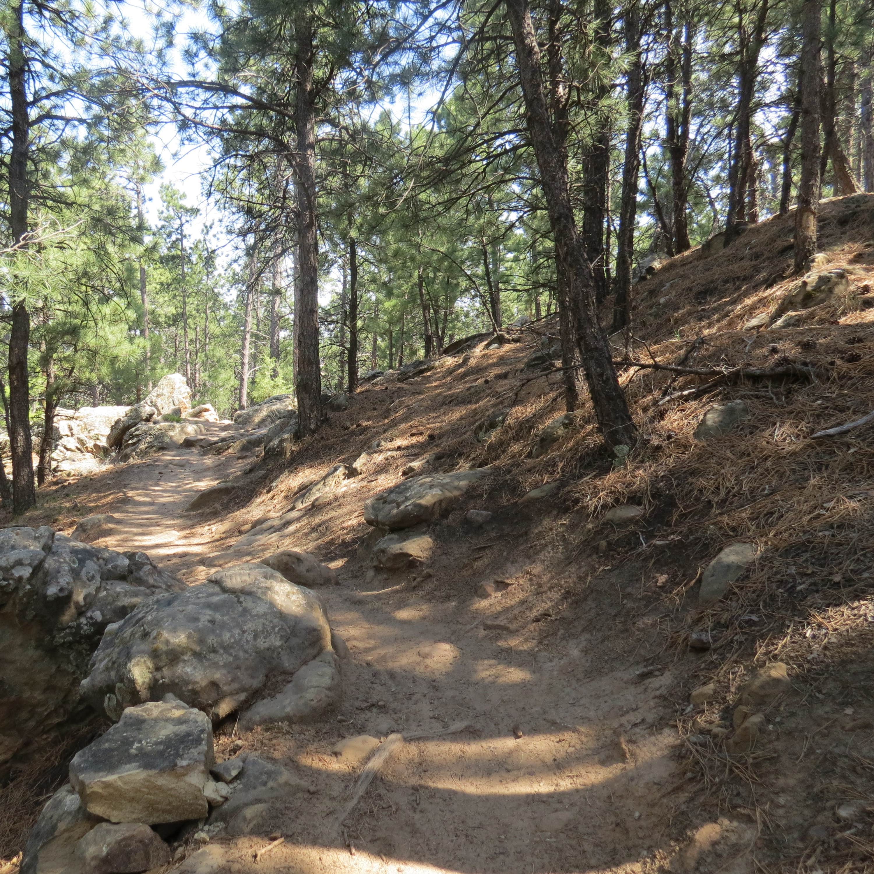Cayuga Lake State Park Camping The Dyrt
