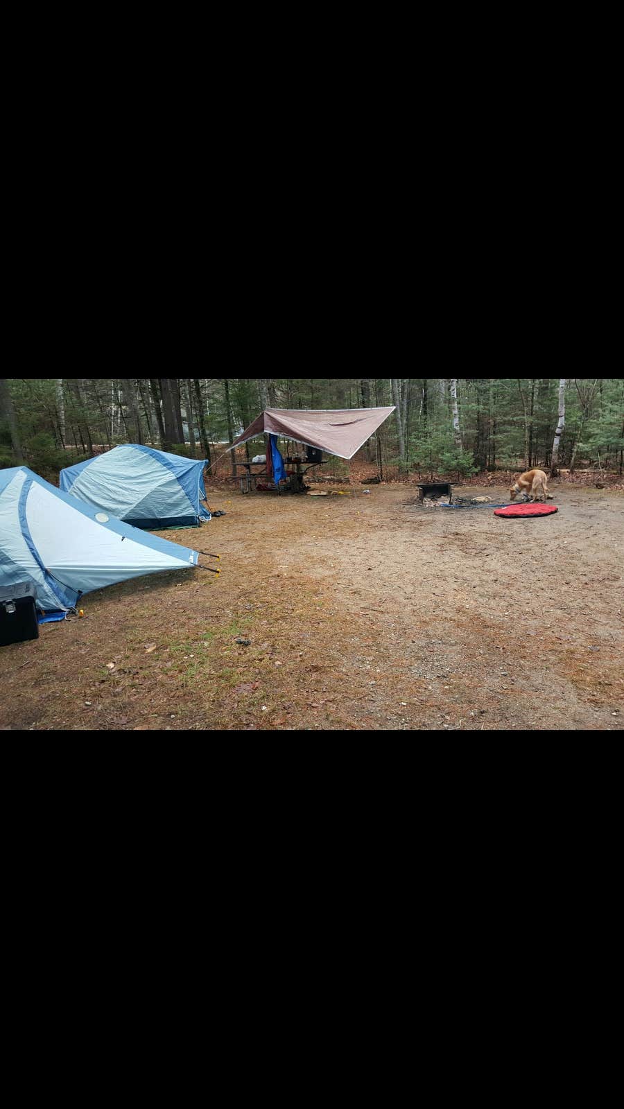michael M.'s photo at Barnes Field Campground near Randolph, NH