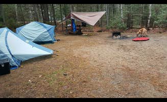 michael M.'s photo at Barnes Field Campground near Randolph, NH