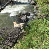 Review photo of El Aguaje Campground by Talon W., September 29, 2016