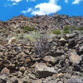 Review photo of El Aguaje Campground by Talon W., September 29, 2016